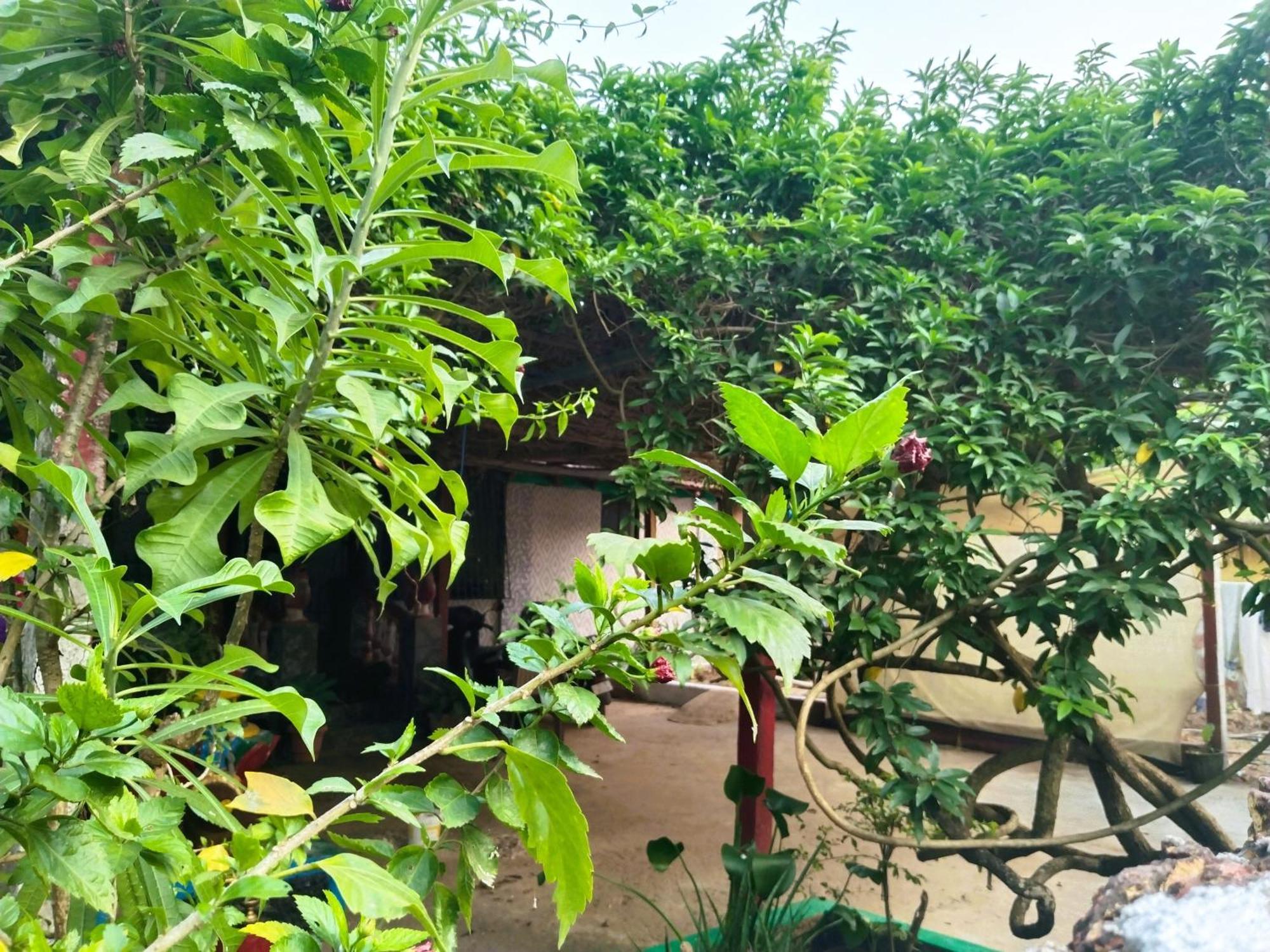 Cockerel Homestay - Traditional Beach Village - Goa Canacona Exterior photo